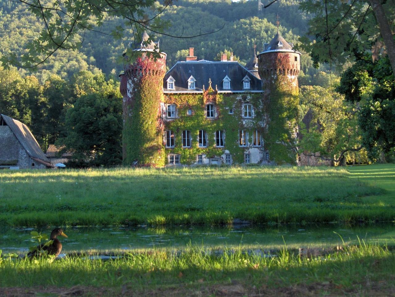 Chateau De Sedaiges Marmanhac Eksteriør bilde